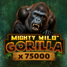 Populaire gokkast 44